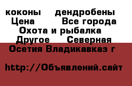 коконы    дендробены › Цена ­ 25 - Все города Охота и рыбалка » Другое   . Северная Осетия,Владикавказ г.